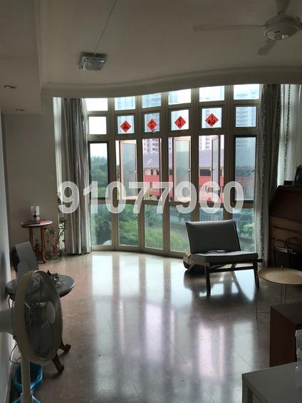 Emerald East (D15), Apartment #166331952